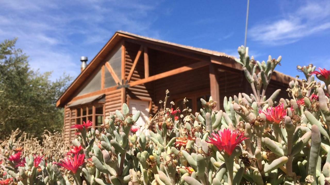 Cabañas Doña Juanita San Pedro de Atacama Exterior foto